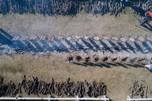 Si te dan a elegir … ¿Fiesta de la Ganadería o Fiesta del Chivo?