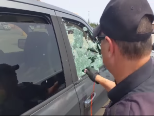 Video: policías rompen el vidrio de una camioneta para salvar a un perro