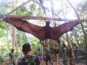 Capturaron a un murciélago gigante de casi 2 metros