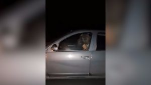 Video: escracharon a una pareja teniendo sexo al volante