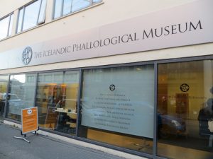 Conocé el "Museo de Penes" que es furor en Europa