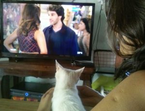 Las geniales fotos de gatos viendo Canal 9