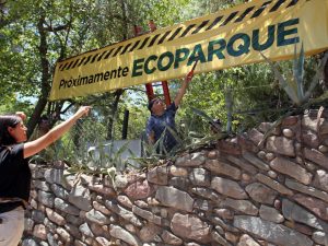 Trasladaron 46 pecaríes a una reserva natural en Corrientes