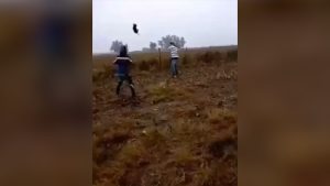 Crueles e impresionantes imágenes de un joven matando a un perro