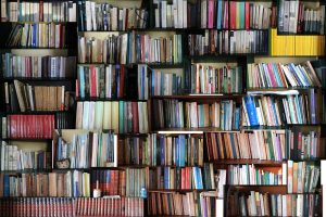 Librería mendocina remata sus libros por $2