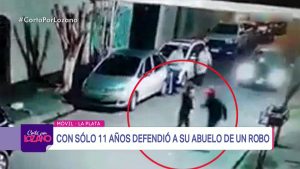 Video: Un chico de 12 años defendió a su abuelo de ladrones con un palo