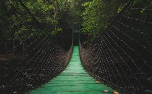 La energía de este fin de semana crea puentes para alcanzar nuestros deseos