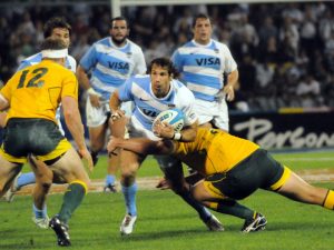 Los Pumas: últimas horas para retirar las entradas gratis