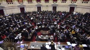 El Senado se prepara para debatir el proyecto de legalización del aborto