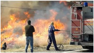 Otro incendio en Alvear: Arrasó más de 120 hectáreas y obligó a cortar una ruta