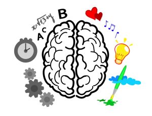 Cómo se relacionan el corazón, el cerebro y los negocios