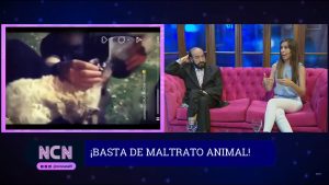 Maltrato animal en términos legales: el caso de los jóvenes que le dieron alcohol a un perro