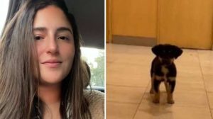 "No se dio cuenta y lo agarré": Le robó el perro a un indigente, lo tuiteó y la mataron en las redes