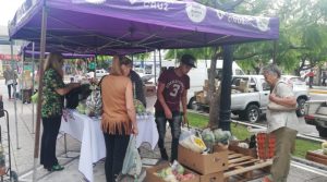 ¿Dónde podés conseguir un bolsón de verduras a $200 y la carga de la garrafa a $300?