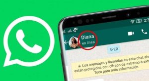 Ya es oficial: podés ocultar el "en línea" de Whasapp