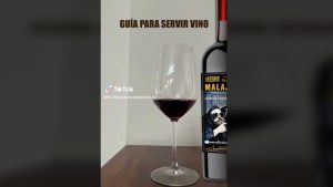 Una bodega mendocina armó una “guía para servir vino” y el vídeo se volvió viral