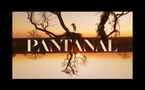 Pantanal, el suceso brasilero, estrena este lunes en Canal 9 Televida y así quedan tus noches