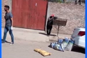 “La tenían en bolsas de arpillera a 29 grados”: desbarataron una banda que vendía carne de caballo