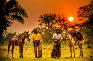 Pantanal: La novela que conquista corazones y muestra la mayor llanura inundable del planeta