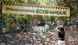 Ecoparque: ¿cuándo abrirá?