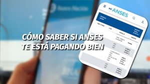 AUH: ¿Cómo leer el bono en Mi ANSES y saber si te están pagando bien?