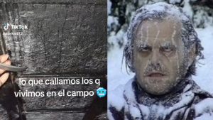 “Team invierno o verano”: la catarata de memes que desató la ola polar en Argentina