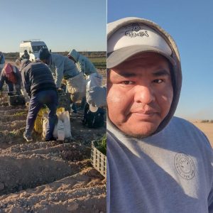 El mendocino que muestra en Tik Tok el trabajo en las chacras