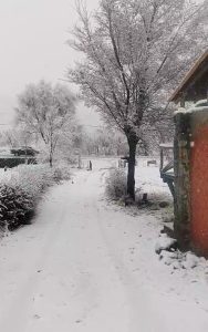 ¿Dónde rige alerta amarilla por nevadas y fuertes vientos para este miércoles en Mendoza?