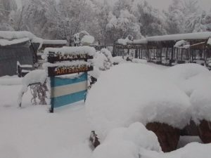 Fotos: la gran nevada que cayó en El Manzano histórico y cubrió todo de blanco