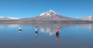 Espejos de agua: la millonaria multa que van a pagar los que no respeten las normas