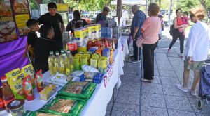 Mendoza: cuándo y dónde conseguir un bolsón de verduras de 6 kilos a $2.000 y la leche a $570