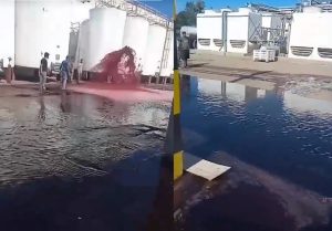 Cascada y río de vino: así se perdieron 50 mil litros en una bodega mendocina