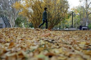 Sube la temperatura este jueves: cómo estará el tiempo en Mendoza