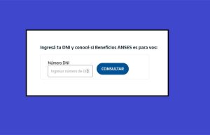 ANSES: ¿Cómo chequear si te corresponde una devolución de $1000 por compra en supermercados?