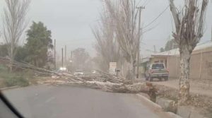 Alerta amarilla por zonda en Mendoza este miércoles: ¿a qué hora y dónde baja?