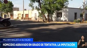 Imputaron a la mujer que le disparó a su hijo con autismo: tendrá prisión domiciliaria