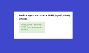 ANSES: ¿Cómo saber si te corresponde una devolución de $1000 por compra?