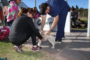 Guaymallén: ¿cuándo y dónde podés llevar a castrar a tu mascota en enero?