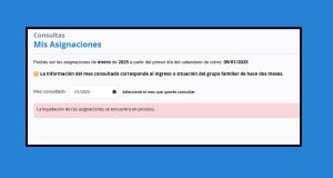 AUH y SUAF "La liquidación se encuentra en proceso": ¿cuándo podrás ver lo que te pagará ANSES en enero?