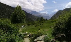 Vacaciones en Mendoza: Un paraje imperdible en Tunuyán a dos horas del centro ideal para ir en familia