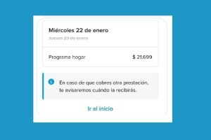 Programa Hogar: ¿qué y cuándo vas a cobrar en enero?