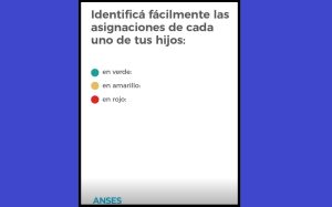 El semáforo de ANSES: ¿qué significa si tu liquidación sale verde, amarilla o roja?