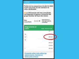 Complemento Salud 2025: ¿qué son los $98000 que sorprendió a todos en la Liquidación de AUH en marzo?