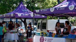 Mendoza: cuándo y dónde podés conseguir el kilo de filet de Merluza a $6.000