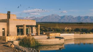 Un lodge de Mendoza fue elegido entre los mejores hoteles del mundo: cómo es y cuánto sale pasar la noche