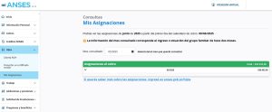 Liquidaciones de ANSES: cómo encontrarlas y qué vas a cobrar en mayo