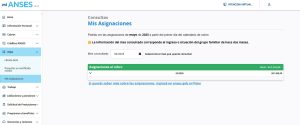 Liquidaciones de ANSES: ¿cuándo vas a poder encontrar la de mayo?