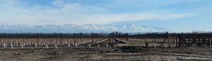 La sostenibilidad en la región crea valles cordilleranos
