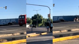 Un chancho interrumpió el tránsito y buscan a su dueño en las redes sociales: “Las heras city, no lo entenderías”