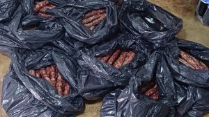 Allanaron una carnicería en Santa Rosa y se encontraron con lo peor: secuestraron 120 kg de chorizos en mal estado